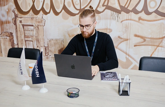 Modsen software developer